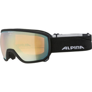 Alpina Sports SCARABEO HM Sjezdové brýle, černá, velikost UNI