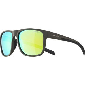 Alpina Sports NACAN III Tmavě šedá  - Unisex sluneční brýle