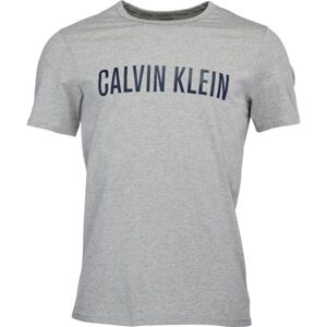 Calvin Klein S/S CREW NECK Pánské tričko, šedá, veľkosť XL
