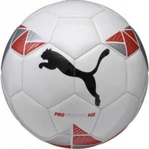 Puma PRO TRAINING MS BALL - Fotbalový míč