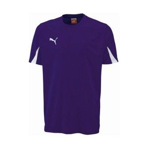 Puma SHIRTS SS TEAM fialová L - Sportovní pánské triko