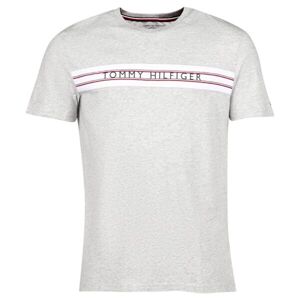 Tommy Hilfiger CLASSIC-CN SS TEE PRINT Pánské tričko, šedá, velikost XL
